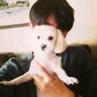 ǰ11¹ҵҵʵ57445Ԫ ͬ2.4%